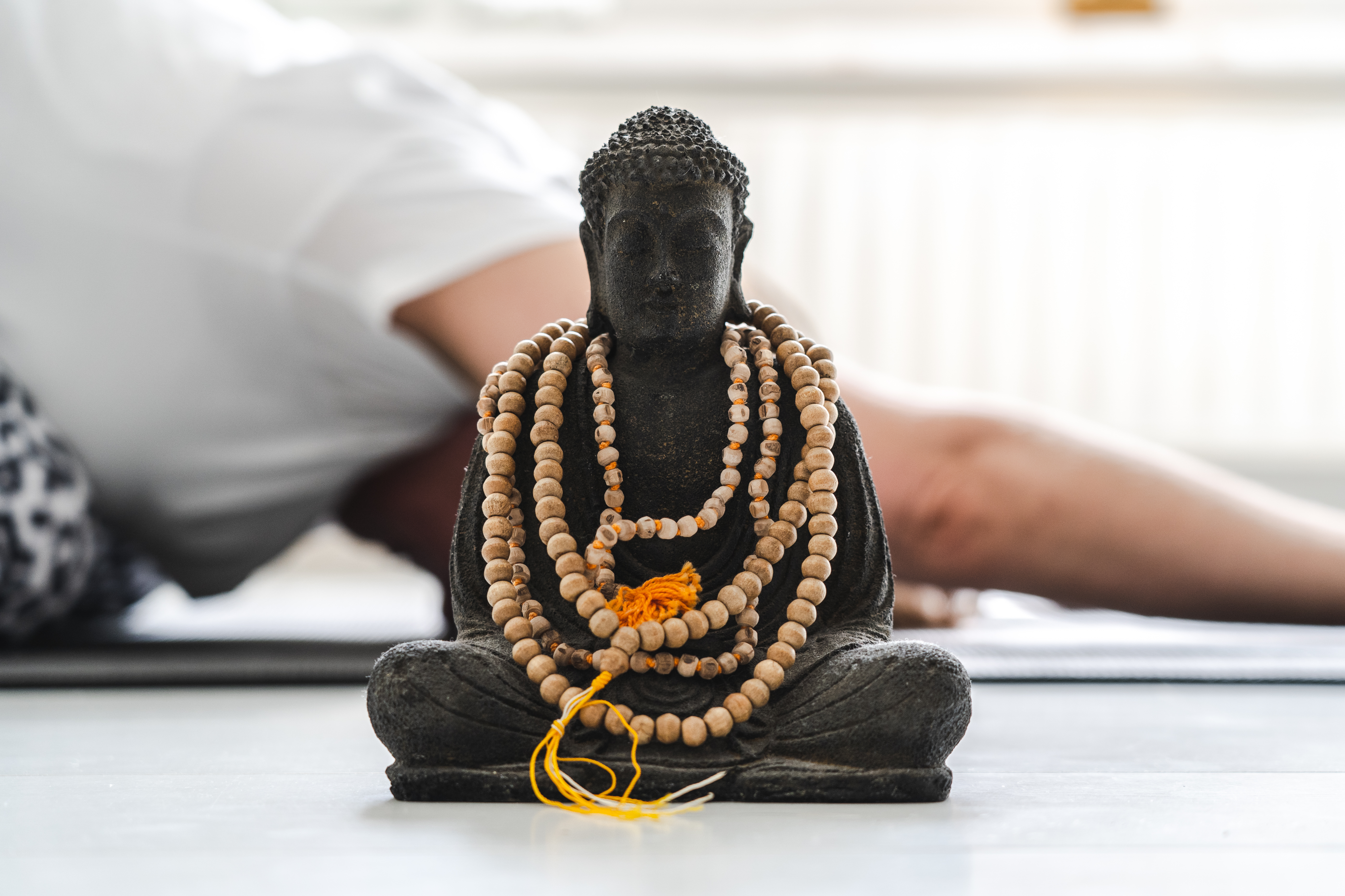 Raja yoga-opleiding